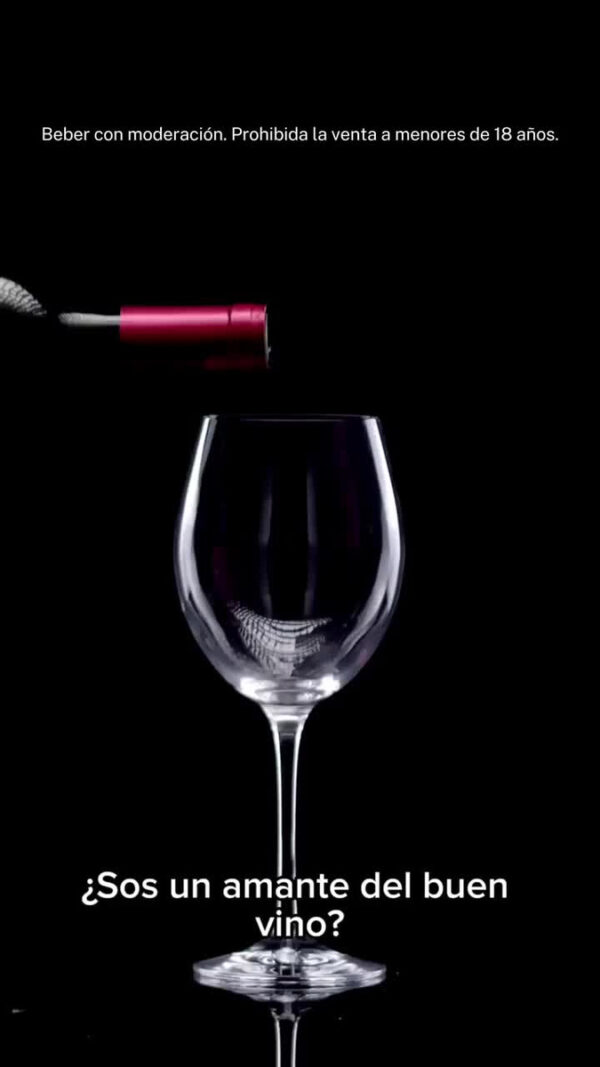 Oferta Vino Luigi Bosca + Rutini + Dv Catena Zapata Caja X 6 - Image 8